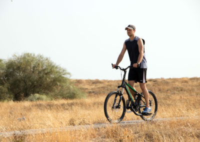 AndaBike StreetStepper España