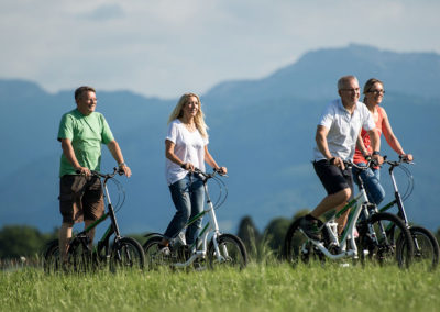 AndaBike StreetStepper