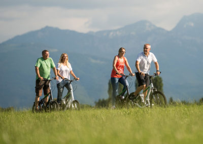 AndaBike StreetStepper